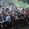 MHHF 2012