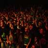 MHHF 2012