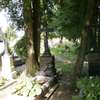 Sząbruk: stare groby na cmentarzu 