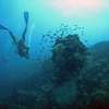 Podwodne cuda Polinezji Francuskiej