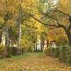 Jesień idzie przez Park Gregoroviusa