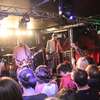 Koncert Lipali