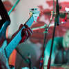 Koncert Kim Nowak