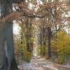 Jesień i zima w lasach nadleśnictwa Lidzbark