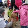 Golden Retrievery Dzieciom