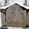 Wielbark: resztki cmentarza ewangelickiego