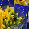 Dzień Europy w Olsztynie