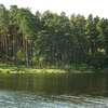Jezioro Roś w obiektywie Zofii Szczygielskiej