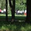 Olsztyn. Aktywnie! Zajęcia Tai Chi