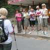 Nordic walking
