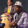Buena Vista Social Club W Olsztynie