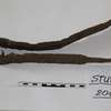W Stupsku znaleziono miecz sprzed dwóch tysięcy lat - zdjęcia z wykopalisk  