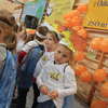 Festy sportowy ZSnr3