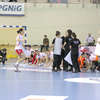 Polska - Brazylia 29:25