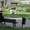 Piknik w parku Kusocińskiego