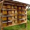 Domki dla dzikich pszczół