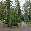 Leśne Arboretum Warmii i Mazur w Kudypach - wiosna 2014