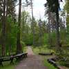 Leśne Arboretum Warmii i Mazur w Kudypach - wiosna 2014