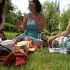 Blogerskie spotkanie na trawniku czyli przez żołądek… do wiedzy
