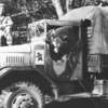 Kapral Wojtek. Niedźwiedź, który był żołnierzem