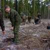 Spychowscy leśnicy z dumą zakończyli tegoroczne odnowienie lasu