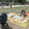 Piknik z Kłobukiem