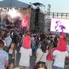 Ikea Industry Day 2015 - wieczorne koncerty
