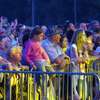 Szynaka Day 2015', cz. II