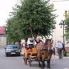 Szreńsk. Tłumy na imprezie -  „Święto pieczonego ziemniaka”