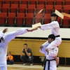 Pokaz taekwondo olimpijskiego w Uranii