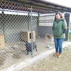 Wizyta w Schronisku dla Bezdomnych Zwierząt w Pawłowie