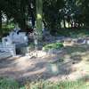Sprzątanie cmentarza przy ul. Księżodworskiej w Działdowie
