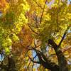 Znikające barwy mazurskiej jesieni 