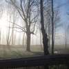 Mazurskie wiosenne mgły poranne