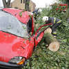 Drzewo spadło na samochód. Dużo utrudnień po burzy, która przeszła nad Olsztynem