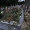 Wycinka na cmentarzu w Miłkach