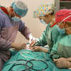 Nowatorska operacja rekonstrukcji małżowiny usznej w szpitalu dziecięcym w Olsztynie