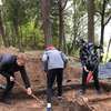 Renowacja cmentarza wojennego w Cierzpiętach
