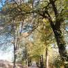 Wyszembork